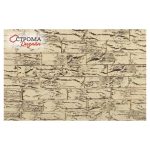 Кирпич Берёза 1 НФ