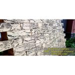 Кирпич Берёза 1 НФ — изображение 5