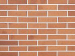 Кирпич Красный Риф 1 НФ ПУ