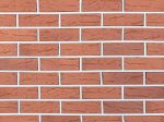 Кирпич Красный Рустик WDF