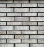 Кирпич Нарвский 0.5 НФ