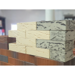 Кирпич Тополь 1 НФ — изображение 2